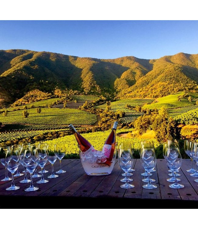 Caliterra Tributo Carmenere