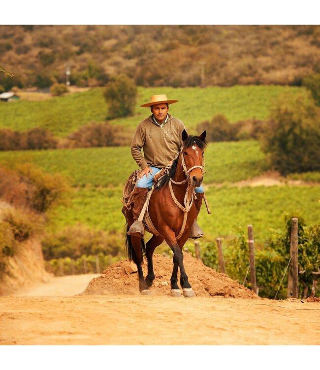 Caliterra Reserva Merlot