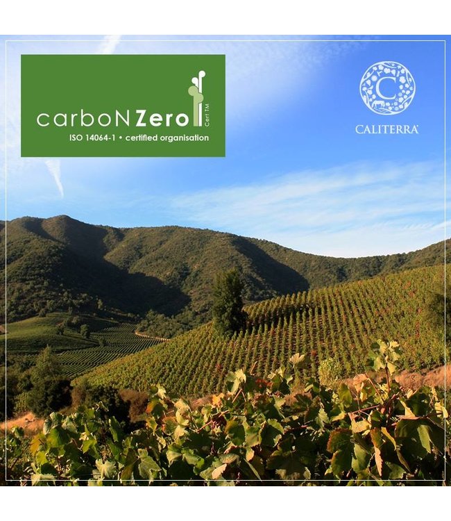 Caliterra Reserva Carmenere
