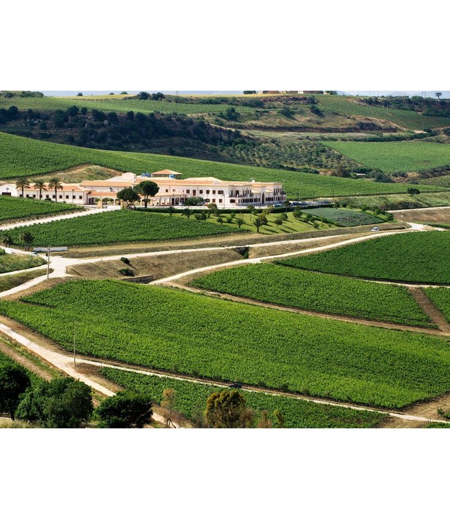 Vanita Nero D Avola Sicilia IGT duurzaam geteeld