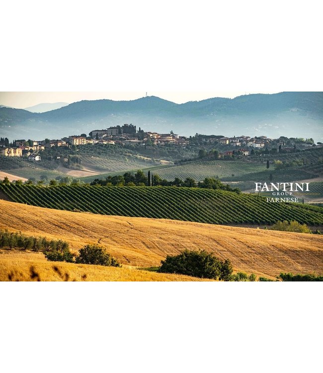 Vanita Nero D Avola Sicilia IGT duurzaam geteeld