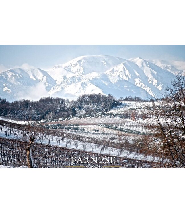 Pipoli Rosso Aglianico Basilicata