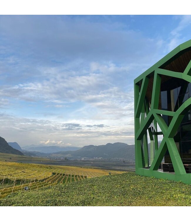 Cantine Tramin Pinot Grigio Alto Adige