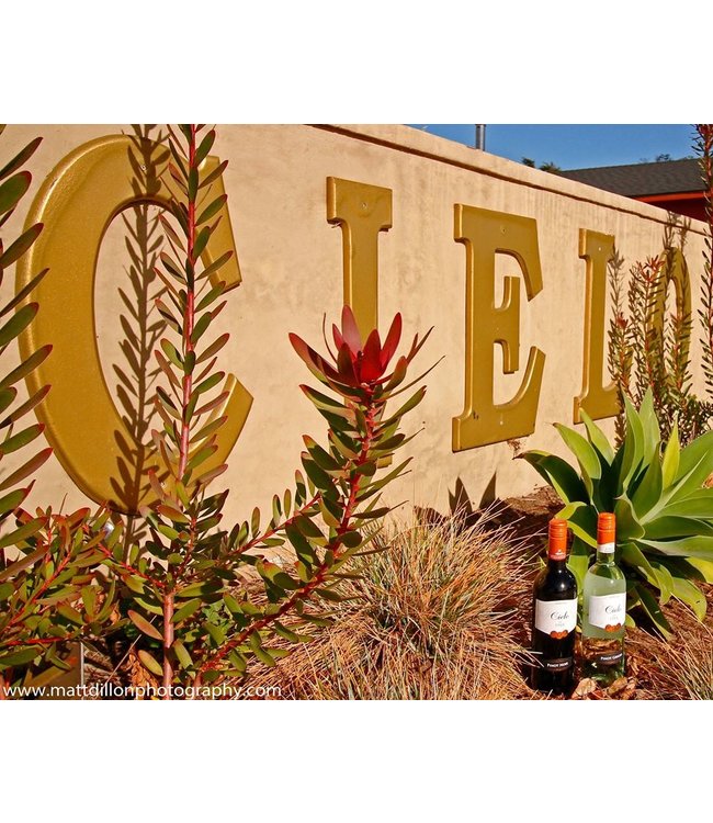 Cielo Pinot Grigio Blush Rose IGT | rose wijn | Faberwineworld.nl ...