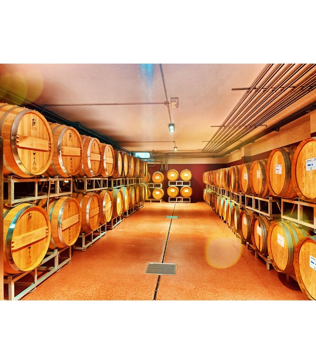 Cielo Pinot Grigio Blush Rose IGT