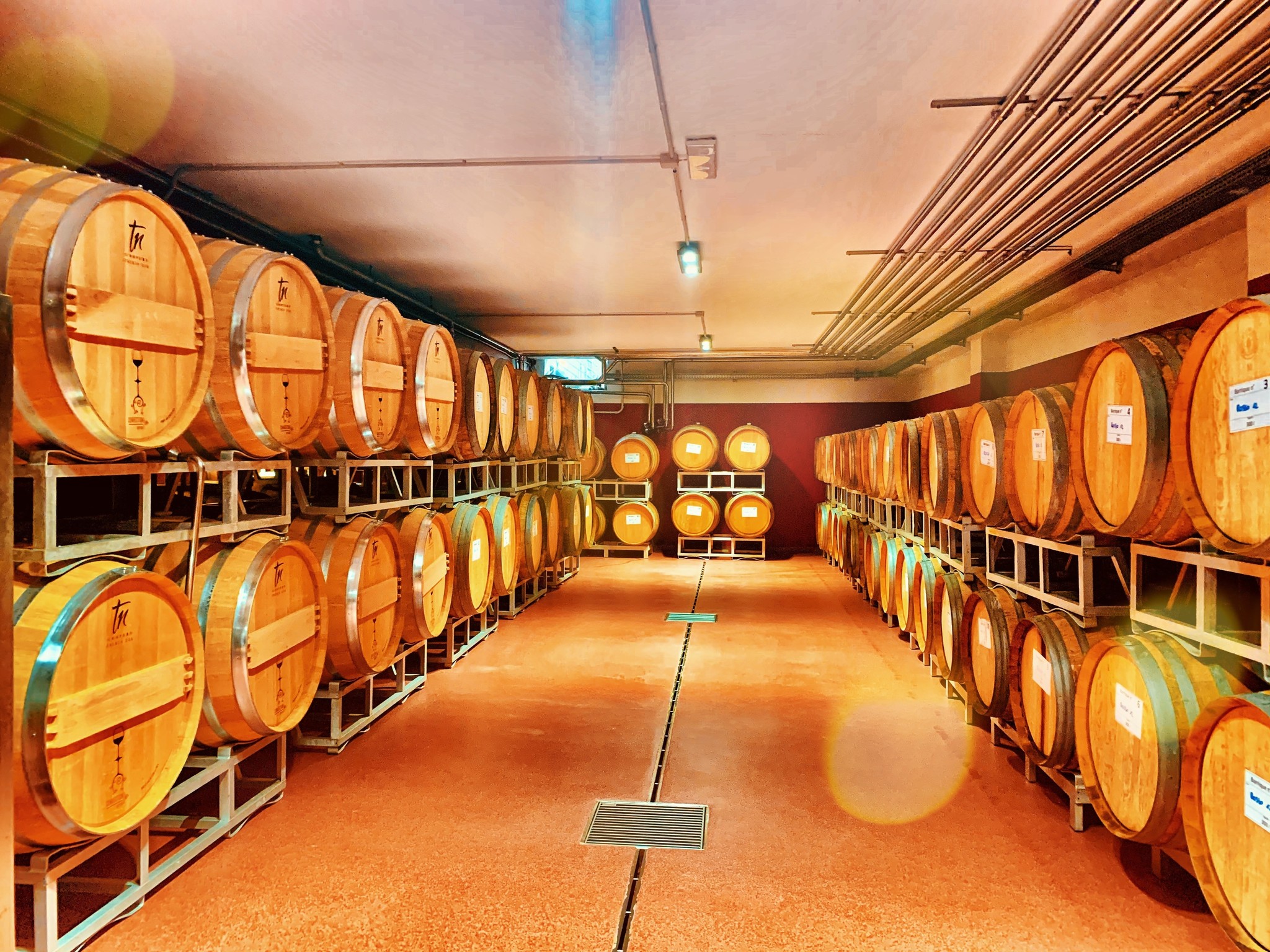 Cielo Pinot Grigio Blush Rose IGT | rose wijn | Faberwineworld.nl ...