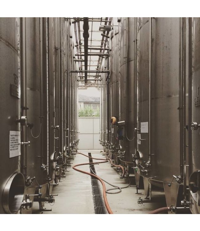 Cielo Sauvignon Blanc IGT Veneto