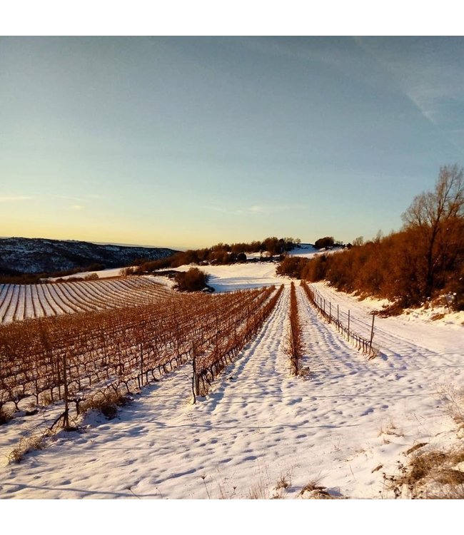 El Pacto Rioja Crianza Giftpack 2 flessen duurzaam geteeld