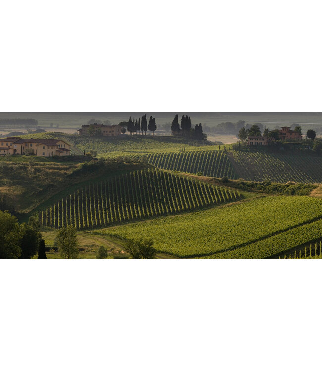 Poggiotondo Chianti DOCG duurzaam geteeld