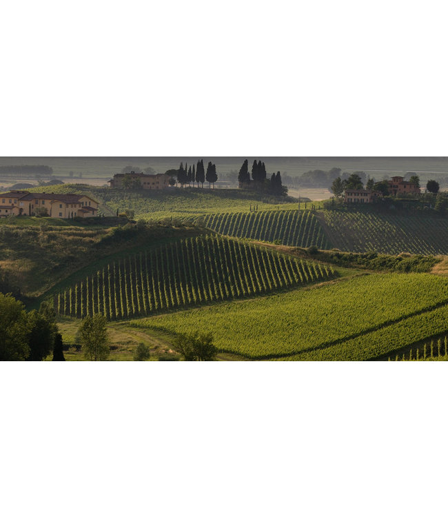 Poggiotondo Chianti Riserva DOCG duurzaam geteeld