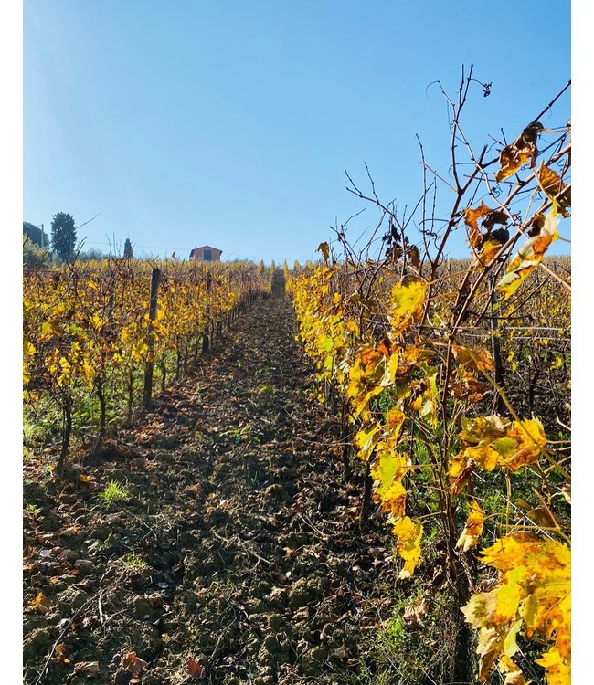 Poggiotondo Chianti Riserva DOCG duurzaam geteeld