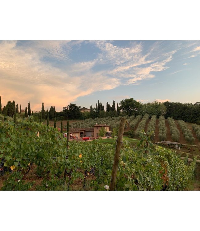Poggiotondo Chianti Riserva DOCG duurzaam geteeld