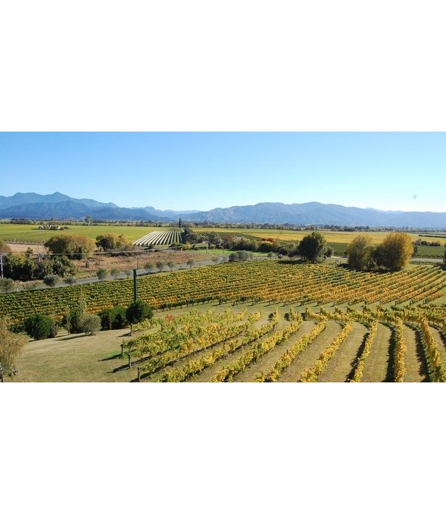 Stoneburn Gewurztraminer Marlborough