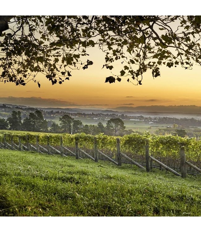 Stoneburn Sauvignon Blanc