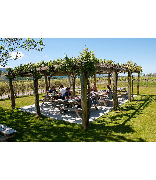 Stoneburn Sauvignon Blanc