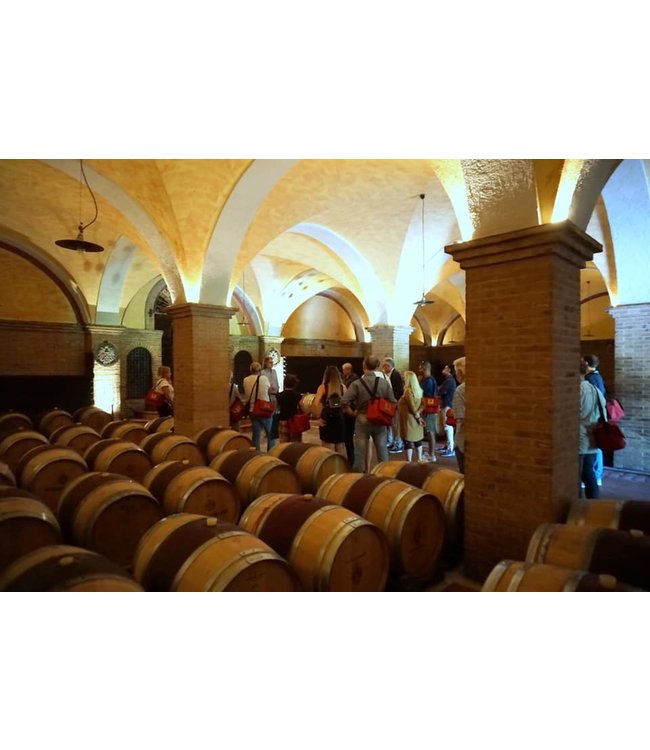 Marco Felluga Collio Sauvignon Blanc