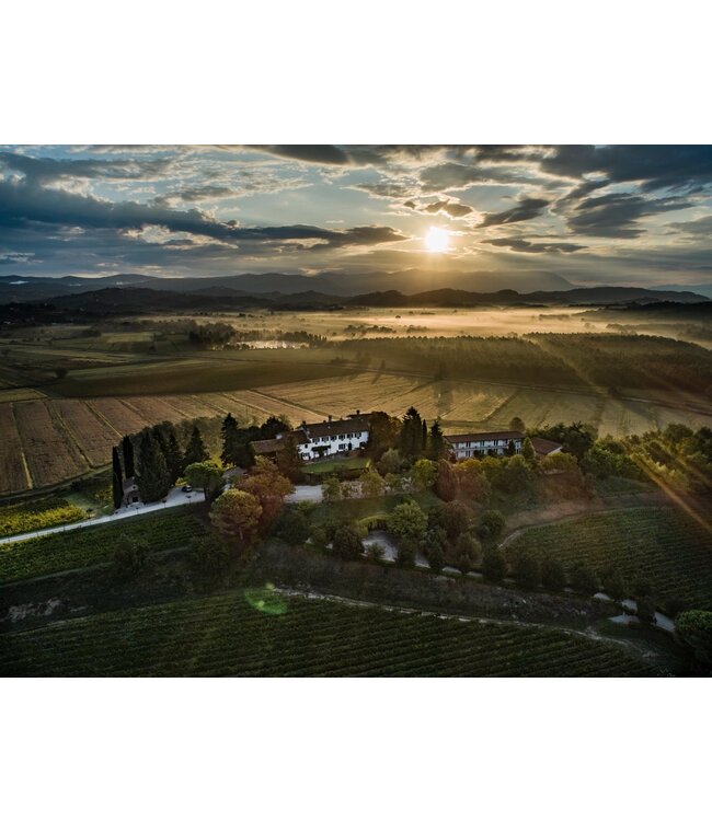 Marco Felluga Collio Pinot Grigio