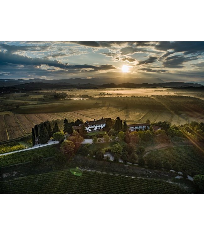 Marco Felluga Collio Chardonnay