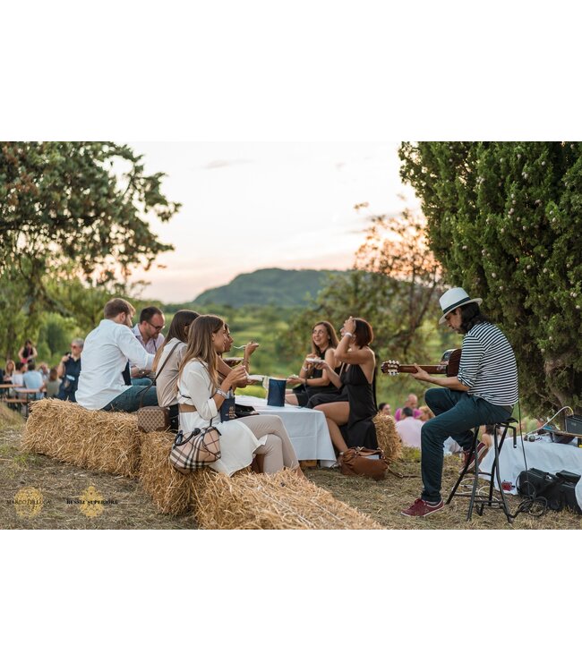 Marco Felluga Collio Chardonnay