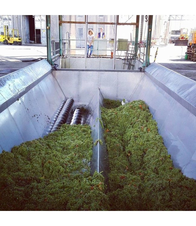 Masseria Colleone Sangiovese (12 halen, 10 betalen)