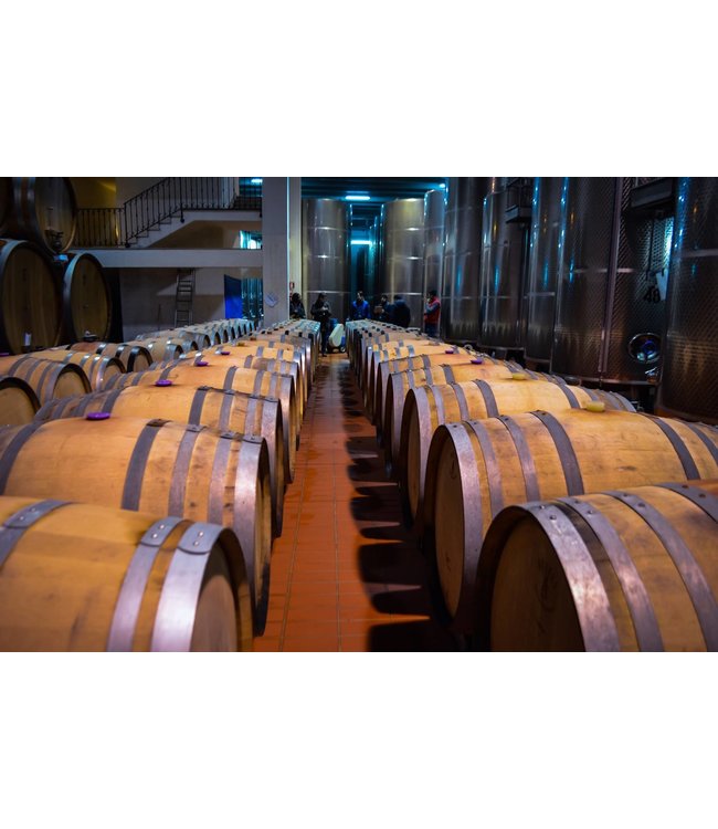 Masseria Colleone Sangiovese Puglia IGT