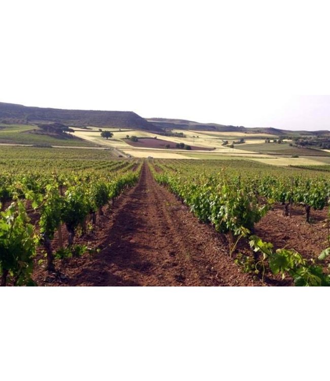 Jose Galo Rueda Verdejo