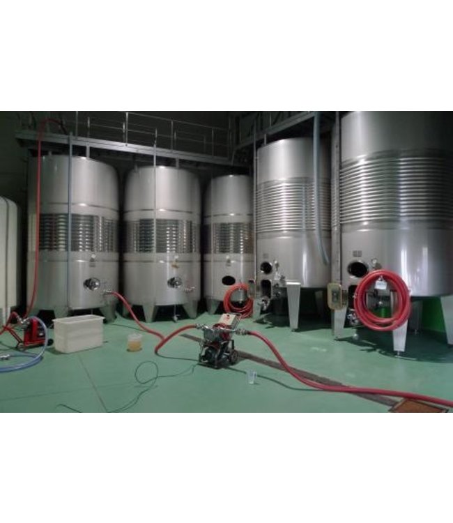 Jose Galo Rueda Verdejo