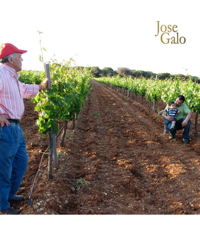 Jose Galo Rueda Verdejo