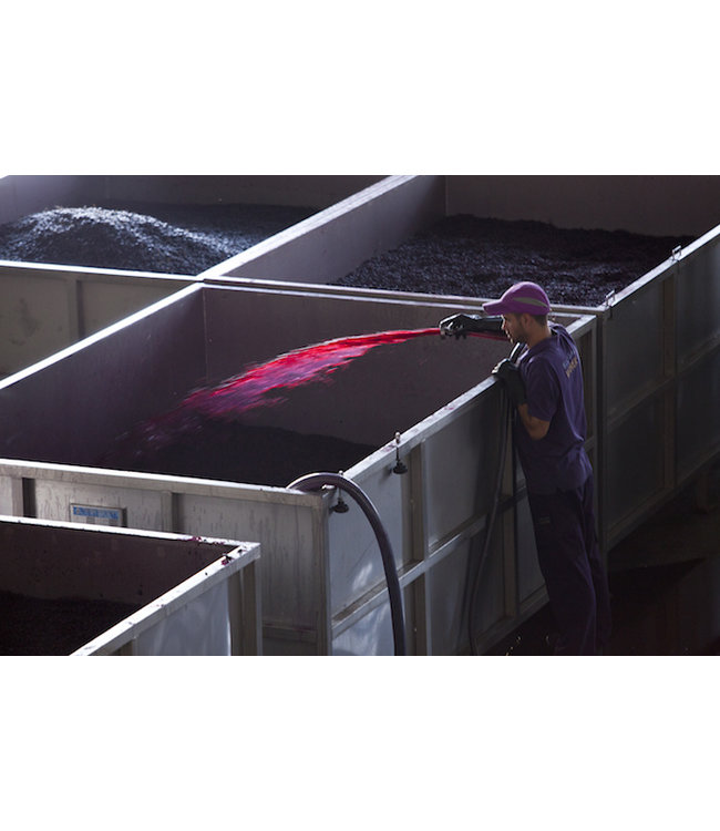 Paso A Paso Pasonillo Late Harvest Tempranillo