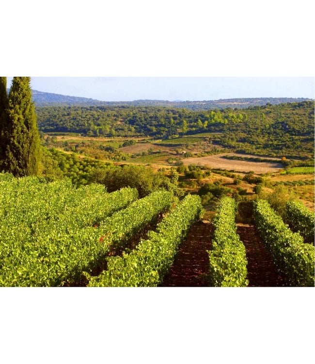 Manoir Grignon Chardonnay Pays d'Oc