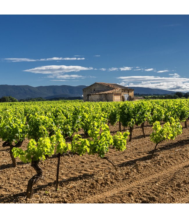 Manoir Grignon Muscat Sec