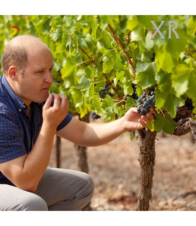 Cigale Classique Cabernet Sauvignon - Merlot