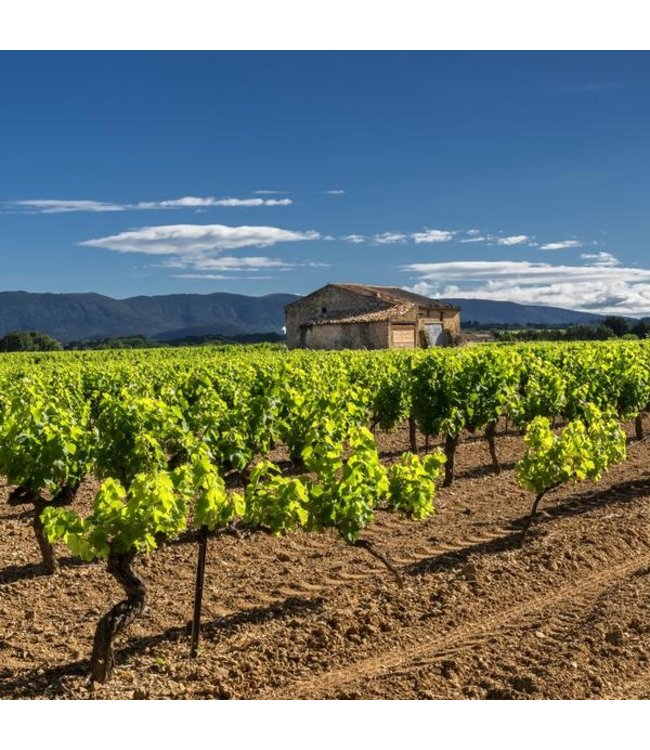 XR Xavier Roger Viognier Pays d'Oc