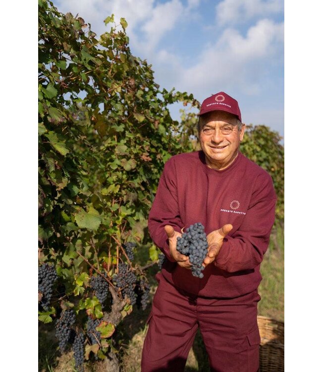 Roberto Sarotto Gavi DOCG Virgillo Piemonte