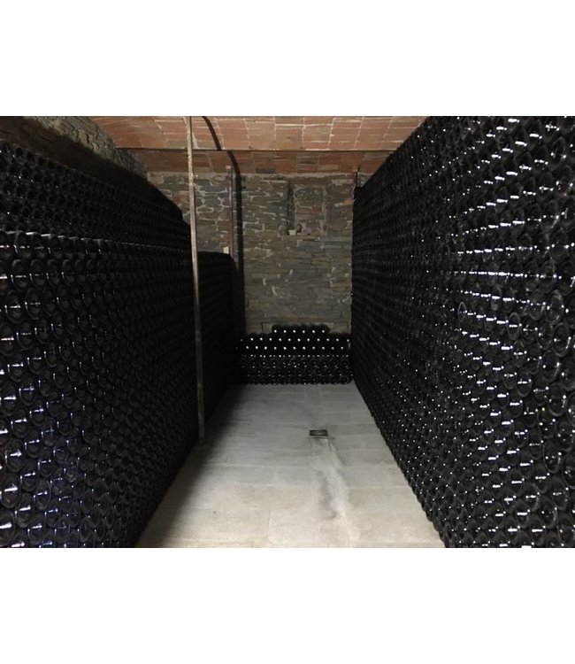 Roberto Sarotto Gavi DOCG Virgillo Piemonte