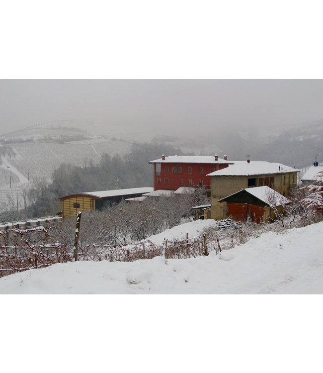 Roberto Sarotto Langhe DOC Nebbiolo Nativo Piemonte