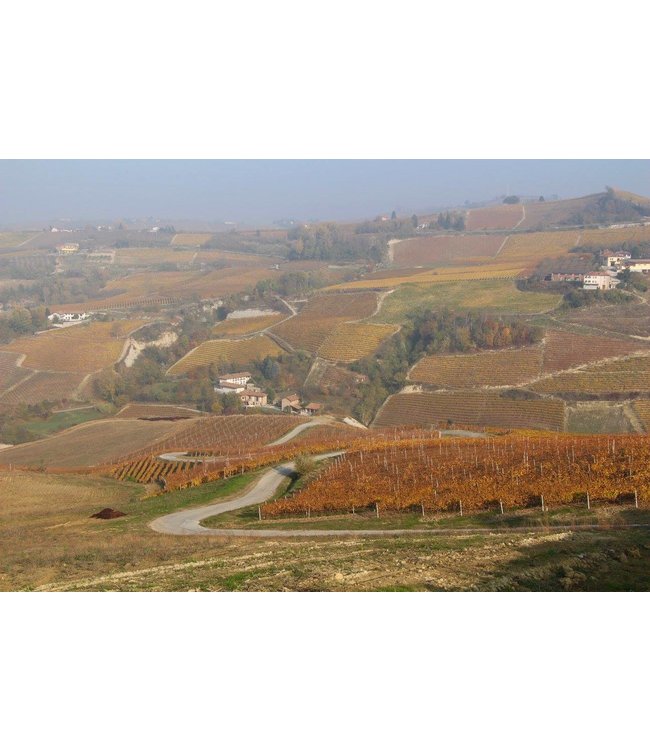 Roberto Sarotto Langhe DOC Arneis Piemonte