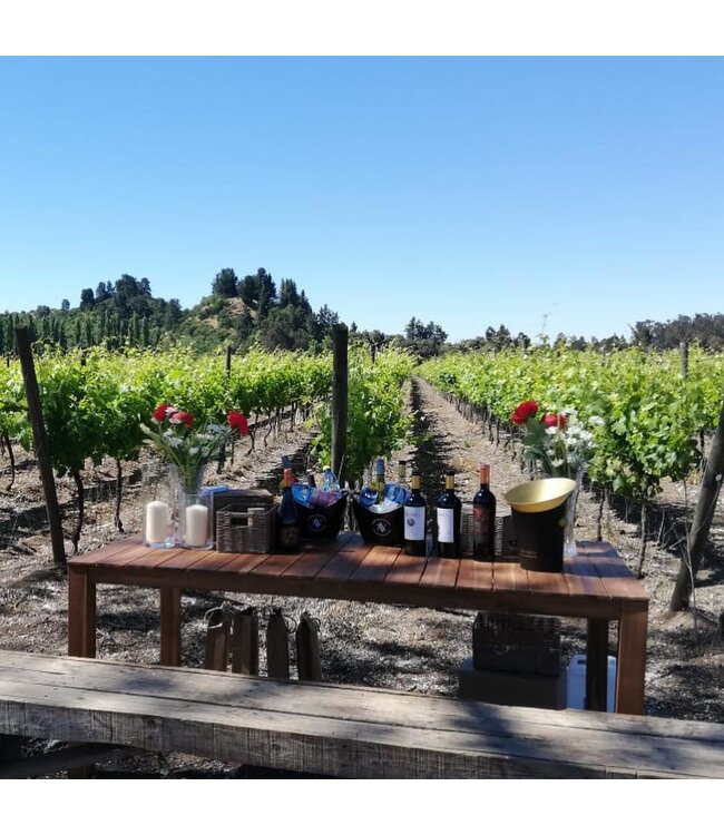 Aromo Reserva Privada Malbec DO Maule Valley