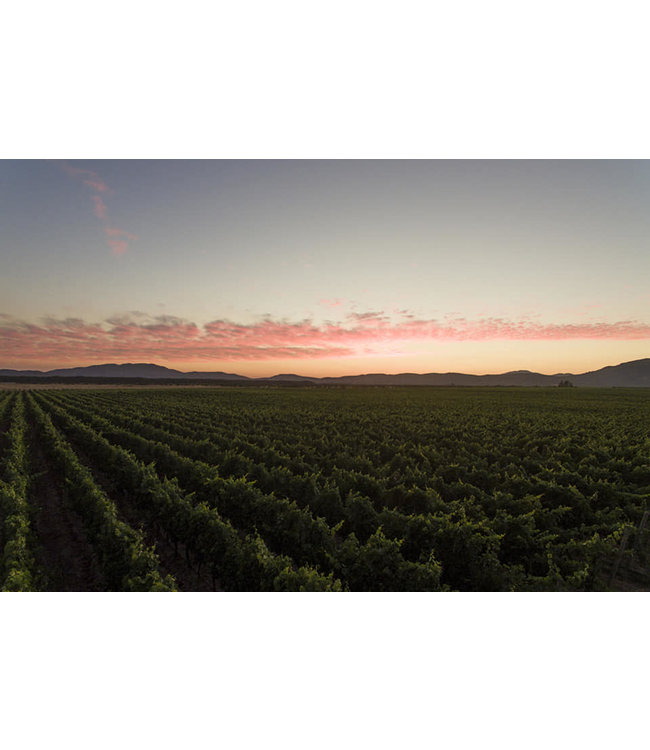 Aromo Reserva Privada Malbec DO Maule Valley