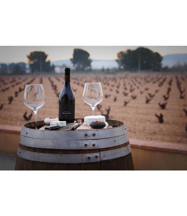 Barahonda Monastrell-Syrah-Petit Verdot Crianza