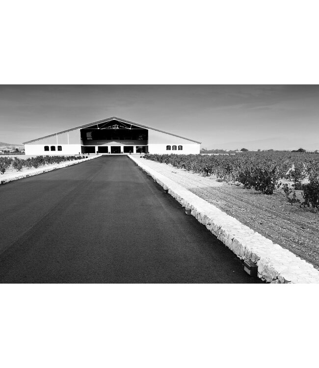 Barahonda Monastrell-Syrah-Petit Verdot Crianza