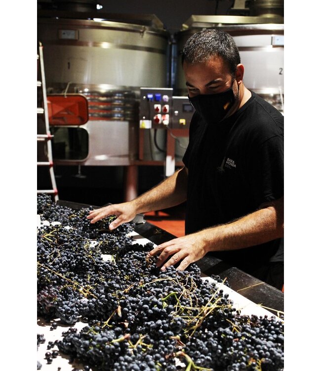 Barahonda Monastrell-Syrah-Petit Verdot Crianza