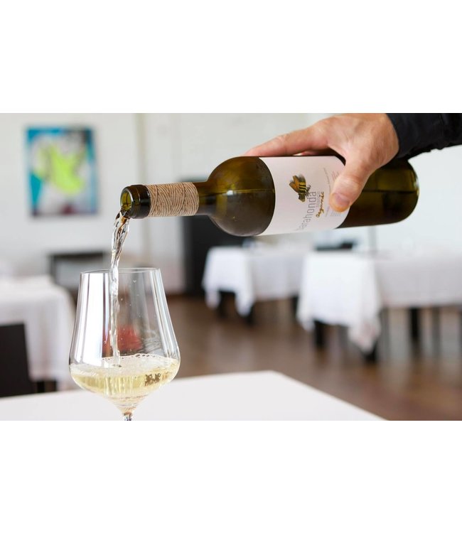 Barahonda Organic Barrica Monastrell Syrah DO Yecla