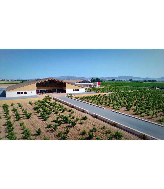 Barahonda Barrica Monastrell Syrah DO Yecla duurzaam geteeld