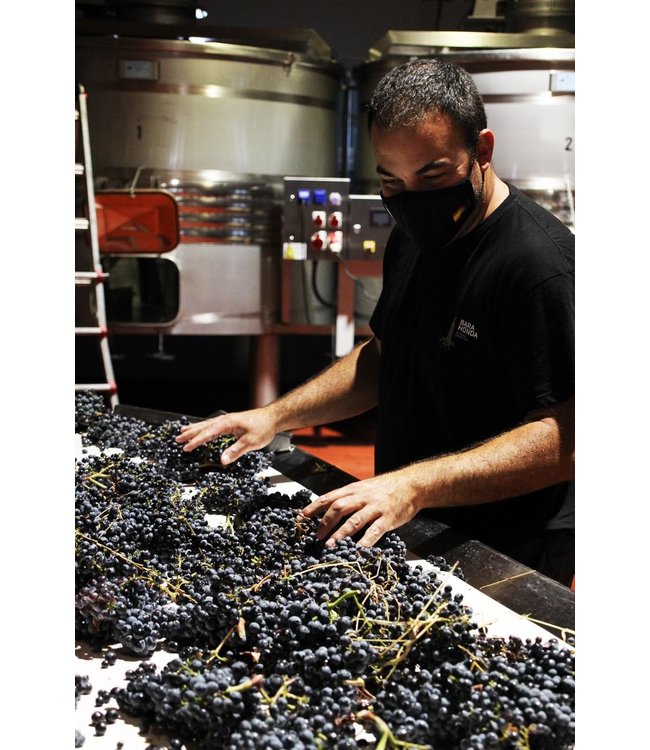 Barahonda Organic Barrica Monastrell Syrah DO Yecla