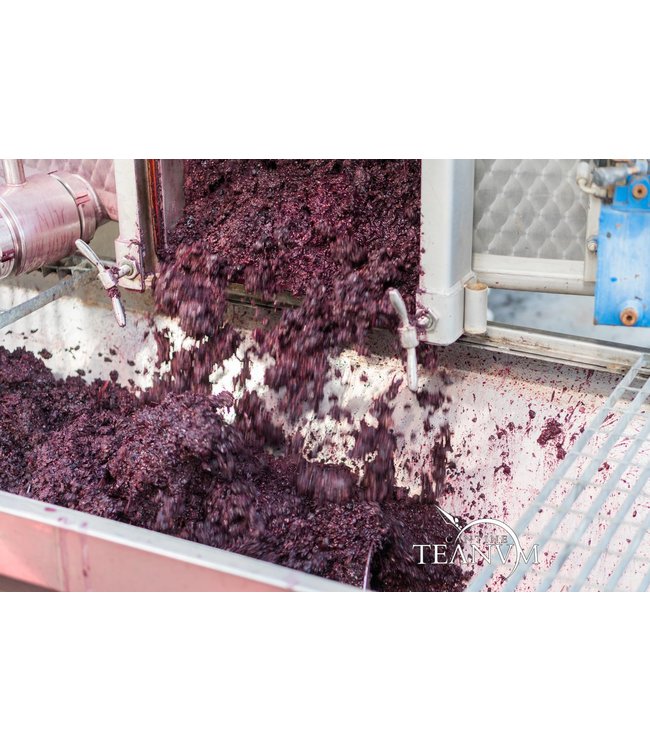 Castelli di Severino Trebbiano Falanghina IGP Puglia