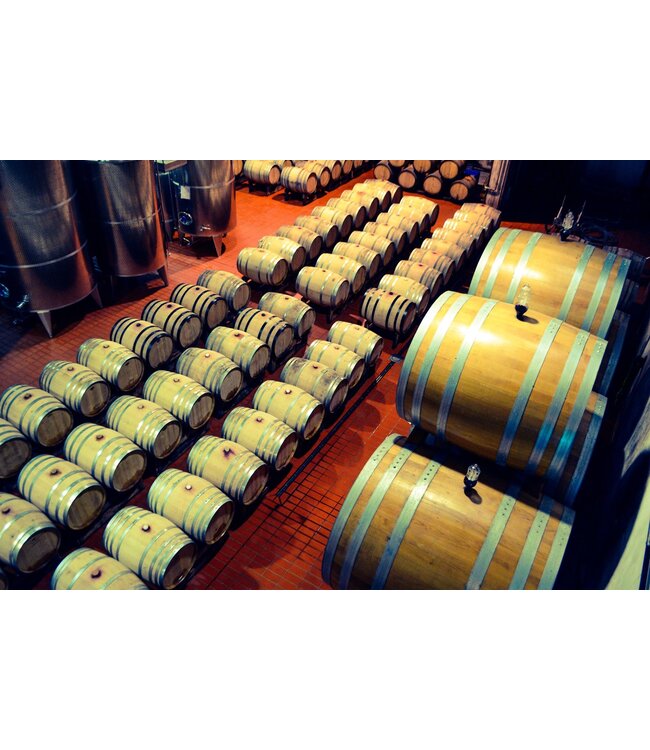 Castelli di Severino Rosso Sangiovese Cabernet