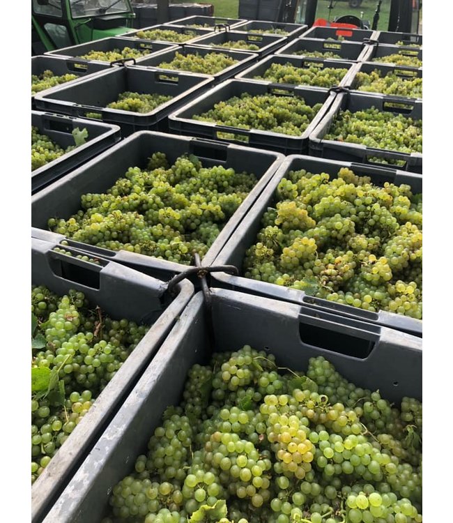 Champagne Monmarthe Premier Cru Brut Secret de Famille