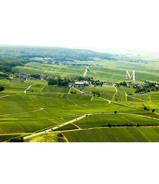 Champagne Monmarthe Premier Cru Brut Secret de Famille