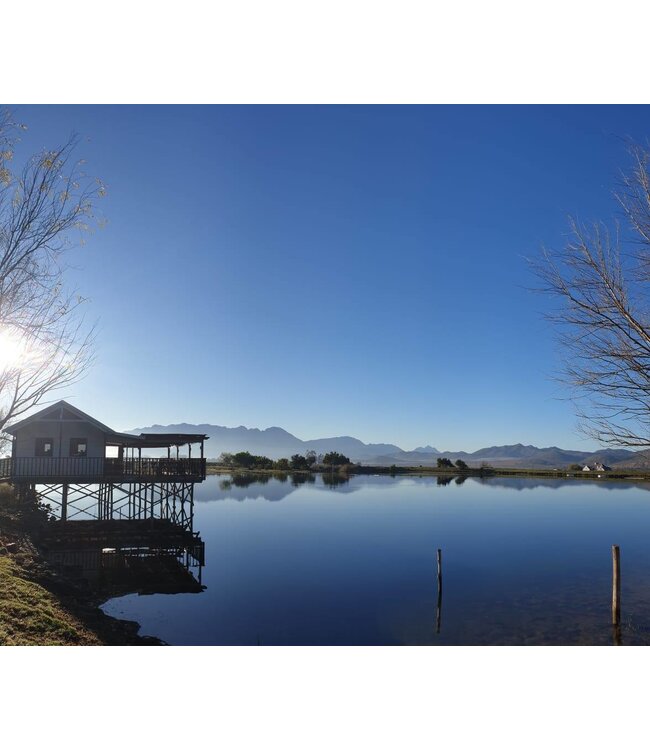 Excelsior Merlot WO Robertson